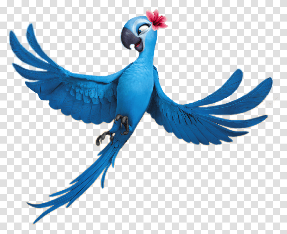 Bird Clipart Rio Jewel Rio, Animal, Jay, Blue Jay, Bluebird Transparent Png