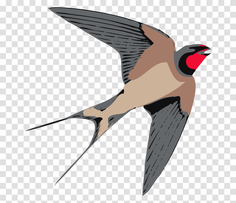 Bird Clipart, Swallow, Animal, Mammal, Wildlife Transparent Png