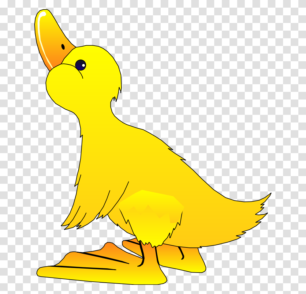 Bird Clipart Vector Free Clipart Duck, Animal, Waterfowl Transparent Png