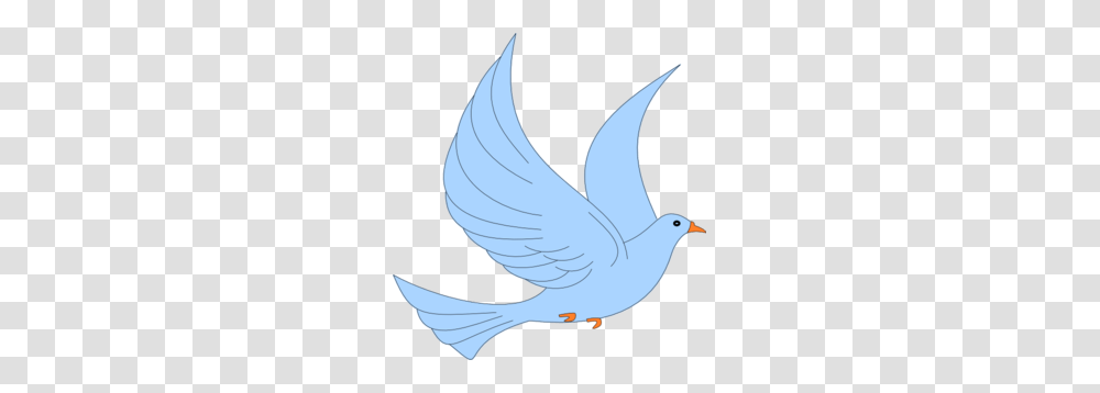 Bird Cliparts, Pigeon, Animal, Dove Transparent Png