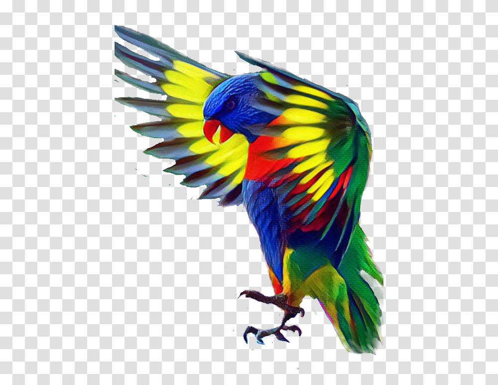 Bird Colorful Flying Beauty Parrot, Animal, Macaw Transparent Png
