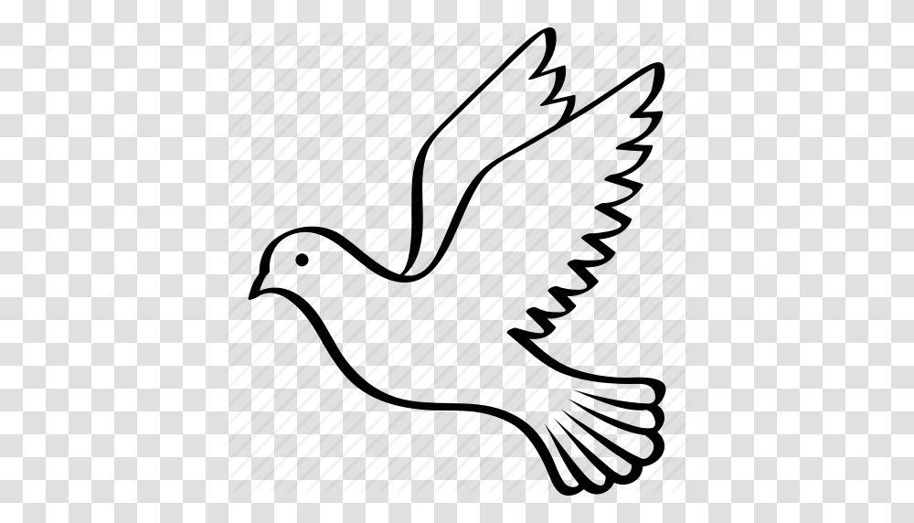 Bird Columbidae Dove Flying Peace Pigeon Wings Icon, Apparel, Furniture Transparent Png