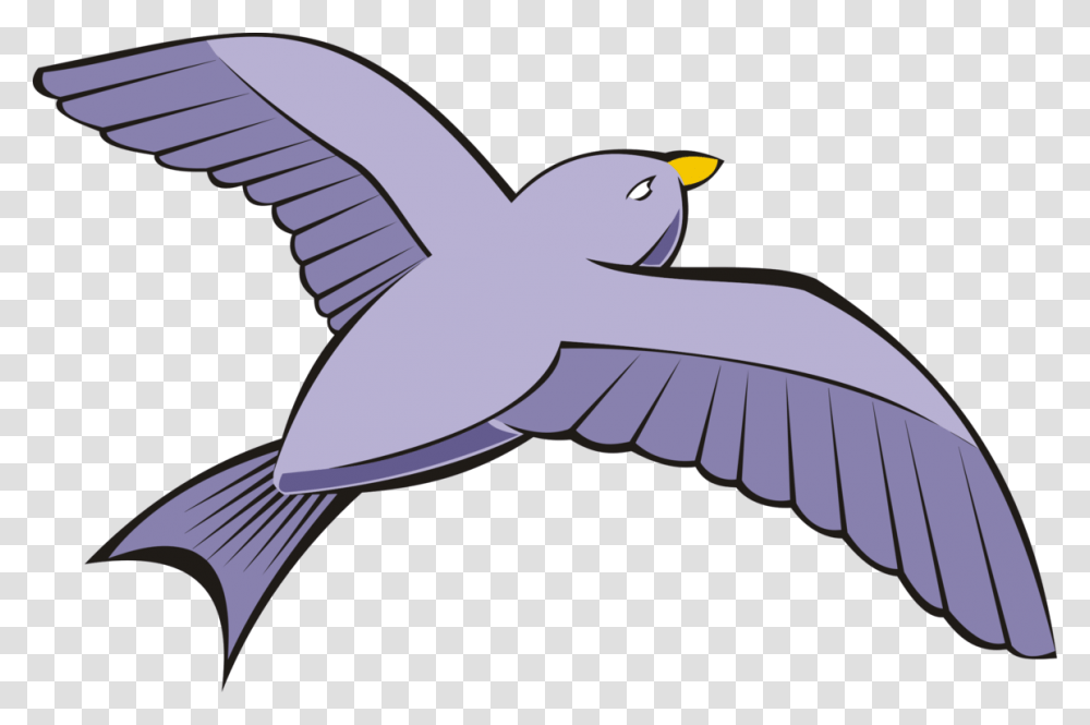Bird Columbidae Rock Dove Flight Beak, Animal, Flying, Pelican, Penguin Transparent Png
