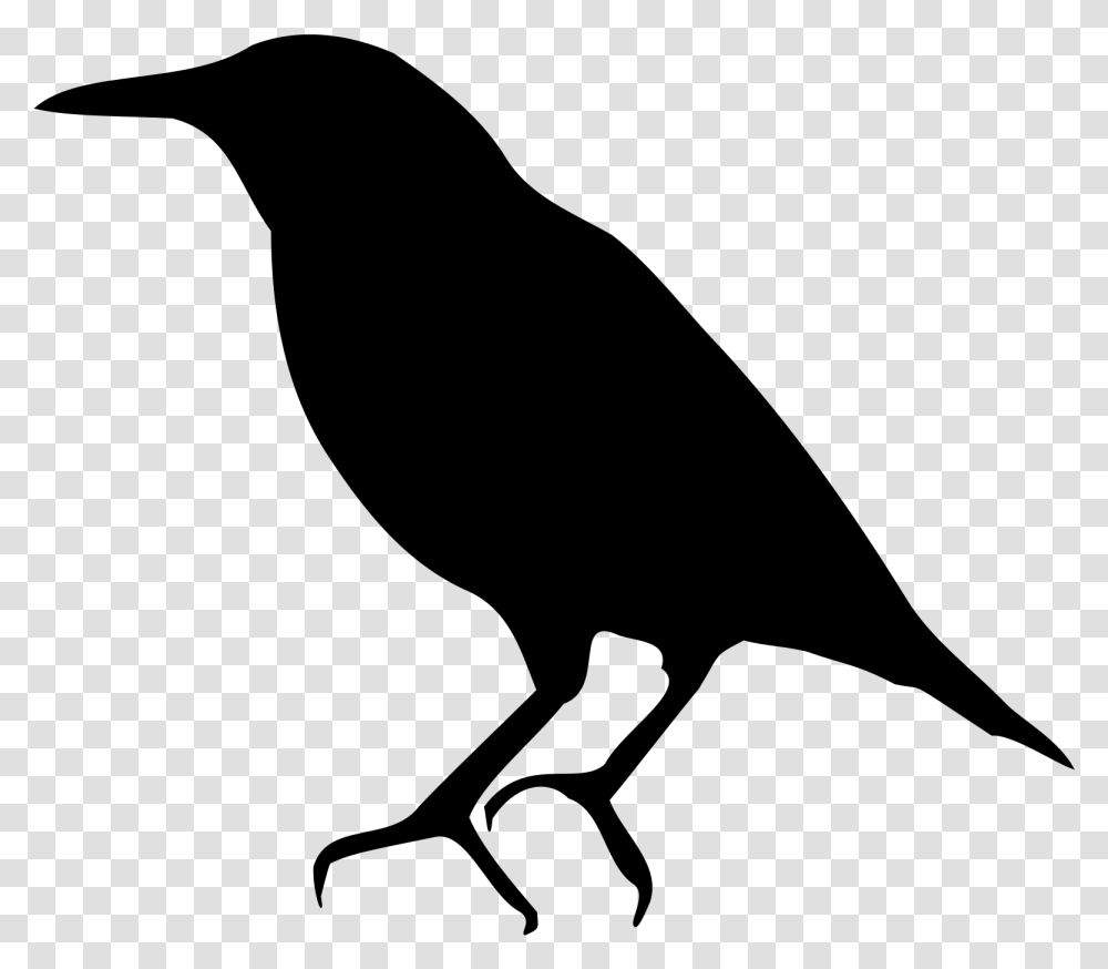 Bird Common Starling American Crow Silhouette European Starling Clip Art, Gray, World Of Warcraft Transparent Png