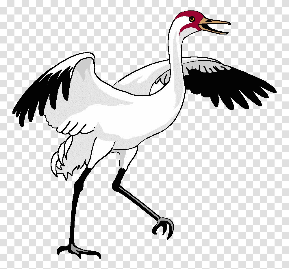 Bird Crane Clipart Waterfowl, Crane Bird, Animal, Stork, Antelope Transparent Png