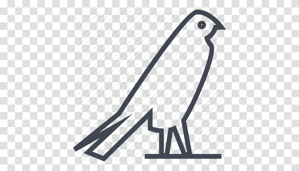 Bird Crow Egyptian Hieroglyphs Icon, Animal, Trophy Transparent Png
