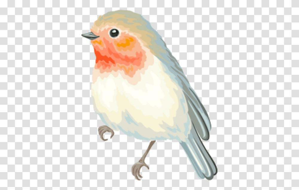 Bird Cute Animo Pastel Spring Overlay Edits European Robin, Animal, Finch, Canary Transparent Png