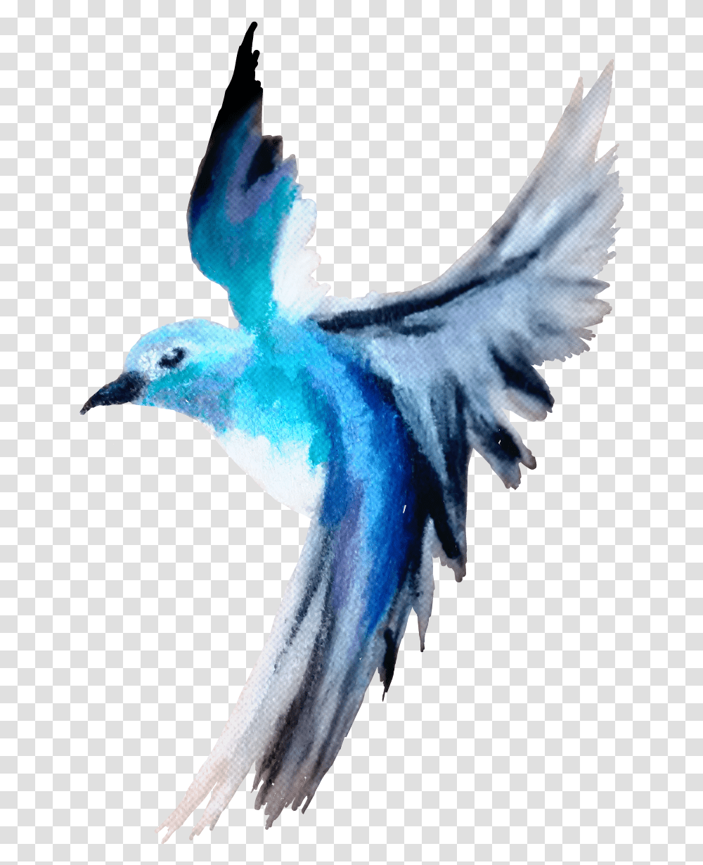 Bird Cute Pretty Blue Free Madebyme Madebymyself Blue Footed Booby, Animal, Flying, Person, Human Transparent Png