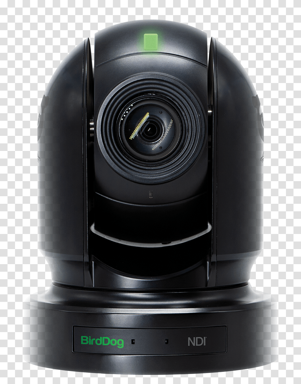 Bird Dog, Electronics, Camera, Webcam, Camera Lens Transparent Png