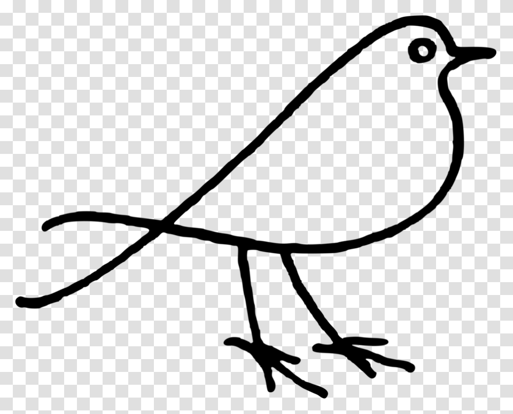 Bird Doodle Parrot Drawing Download, Gray, World Of Warcraft Transparent Png