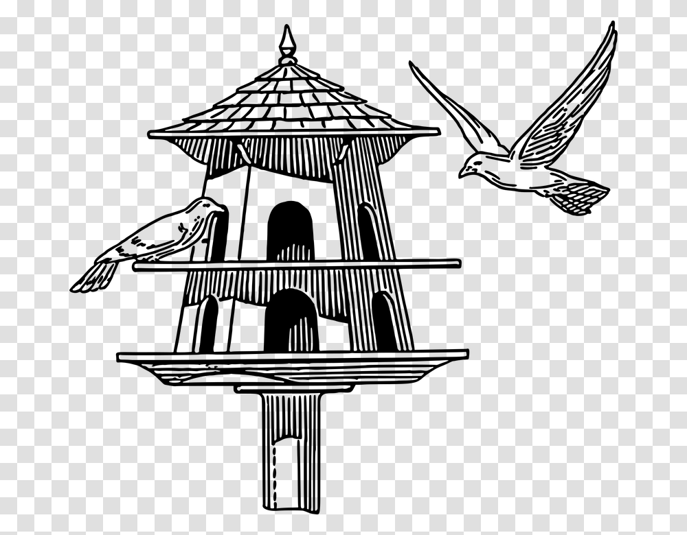 Bird Dove Dovecote Garden House Pigeon, Gray, World Of Warcraft Transparent Png