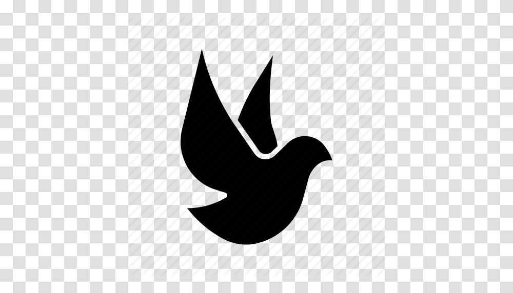 Bird Dove Freedom Paloma Peace Pigeon Pombo Icon, Piano, Leisure Activities, Musical Instrument, Silhouette Transparent Png