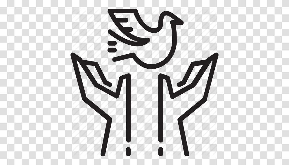 Bird Dove Hand Human Peace Rights Icon, Invertebrate, Animal, Insect Transparent Png