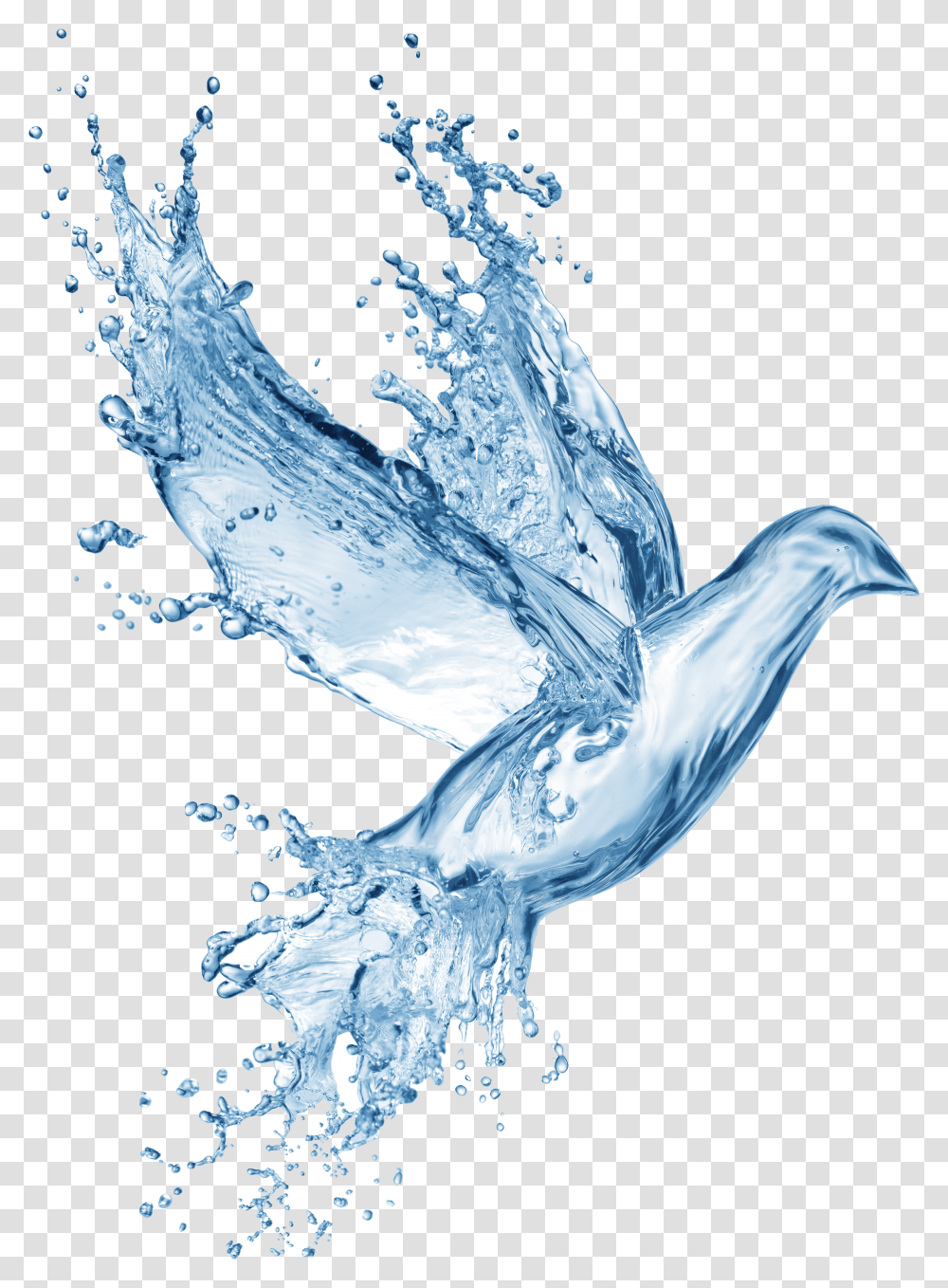 Bird Dove Water Splash Holy Spirit Symbols Water Transparent Png