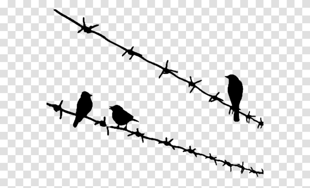 Bird Download Birds Sitting On Wire Tattoo, Outdoors, Nature, Night, Astronomy Transparent Png