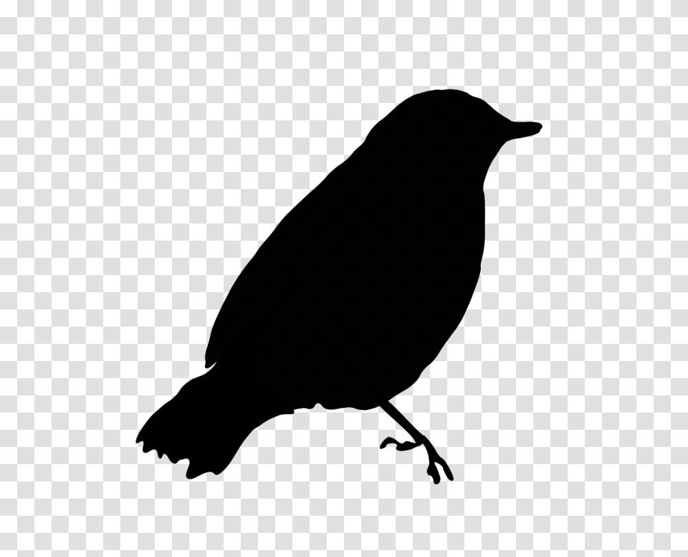 Bird Download Feather Drawing, Gray, World Of Warcraft Transparent Png