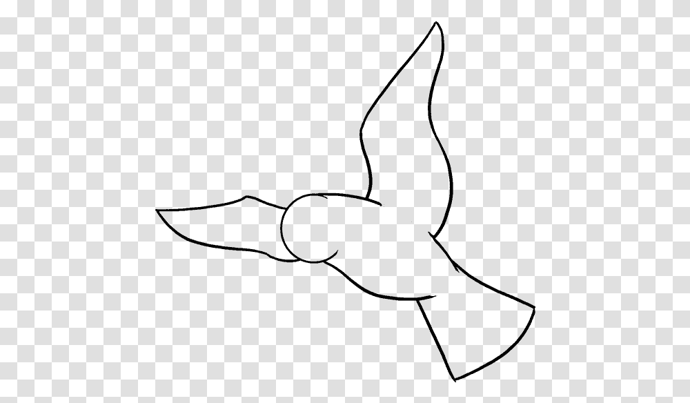 Bird Draw, Gray, World Of Warcraft Transparent Png