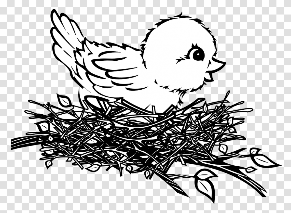 Bird Drawing Birds Nest Drawing Easy, Animal, Poultry, Fowl, Bird Nest Transparent Png
