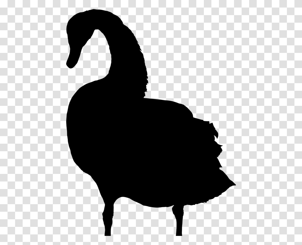 Bird Drawing Silhouette Black Swan Computer Icons, Gray, World Of Warcraft Transparent Png