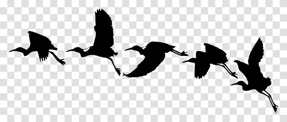 Bird Drawing Silhouette Cartoon Computer Icons, Gray, World Of Warcraft Transparent Png