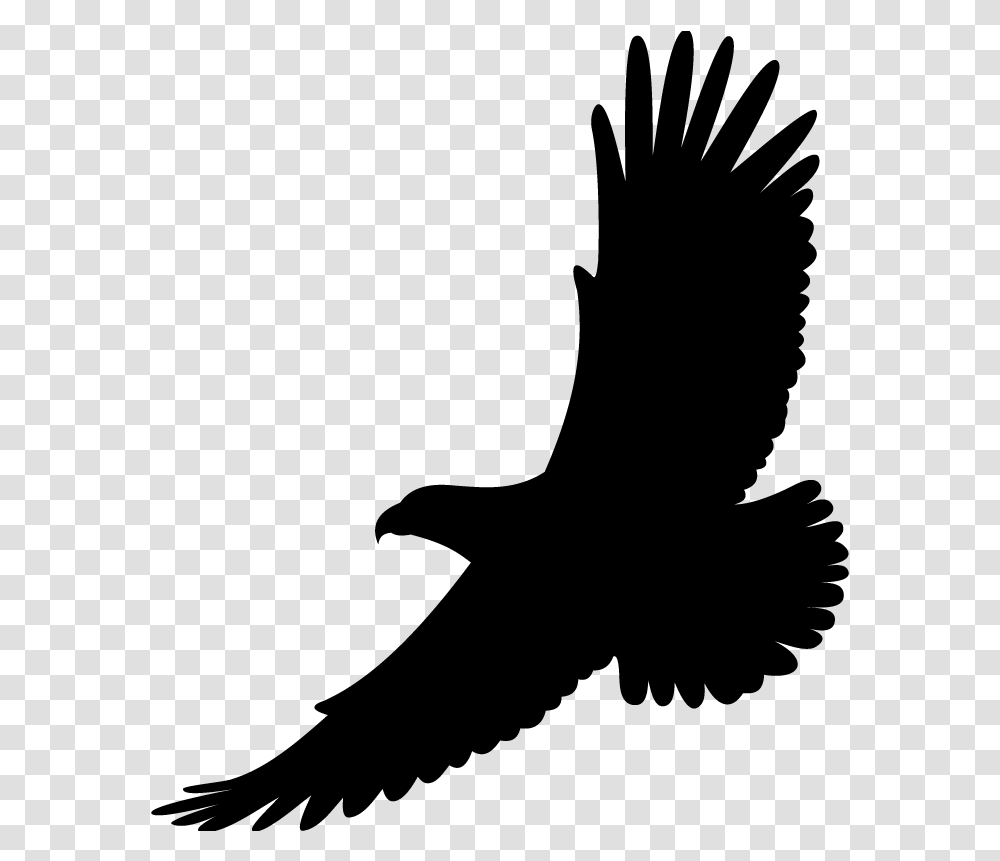 Bird Drawing White Tailed Eagle Bald Eagle Hawk Soaring Clip Art, Gray, World Of Warcraft Transparent Png