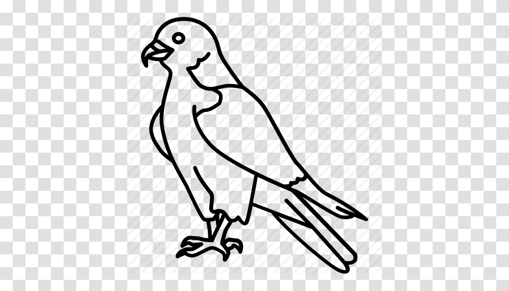 Bird Duck Eagle Hawk Peregrine Falcon Prey Icon, Mammal, Animal, Pet, Canine Transparent Png