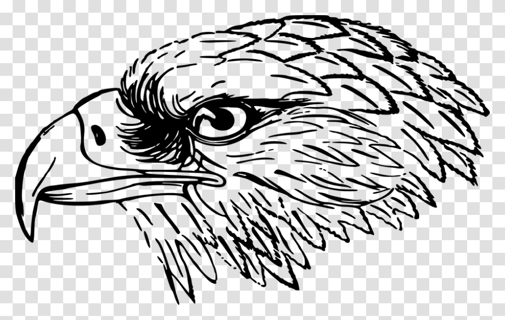 Bird Eagle Head Snake Eagle Falcon Clipart Black And White, Gray, World Of Warcraft Transparent Png