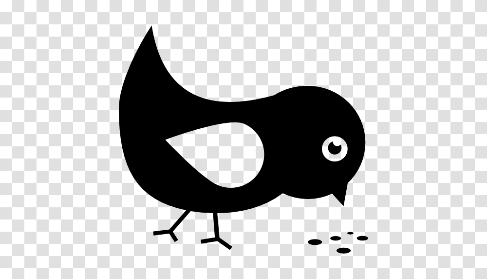 Bird Eating Seeds, Silhouette, Stencil, Animal, Lamp Transparent Png