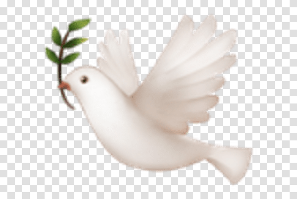 Bird Emoji On Iphone, Dove, Pigeon, Animal, Wedding Cake Transparent Png