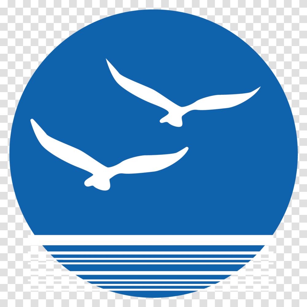 Bird Euclidean Vector Turismo Nautico Icono, Animal, Symbol, Seagull, Flying Transparent Png