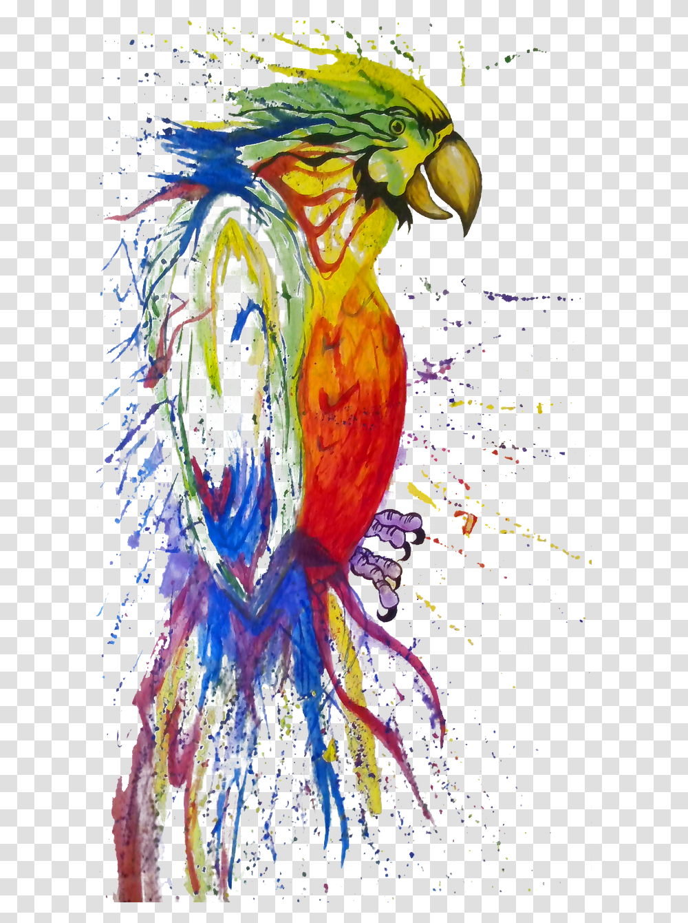 Bird Fabtic, Animal, Modern Art Transparent Png