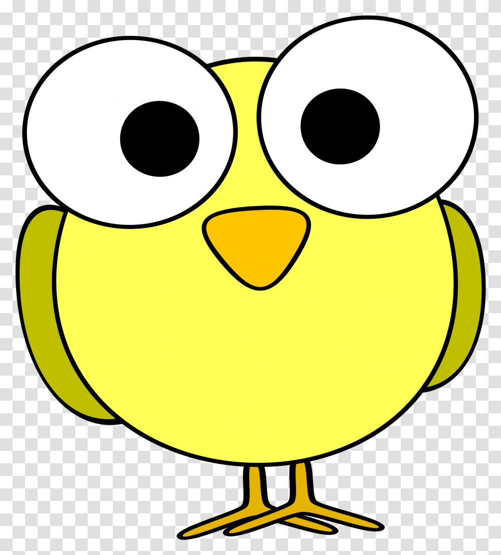 Bird Face Clip Art Clipart Face Big Eyes, Animal, Penguin, Beak, Angry Birds Transparent Png