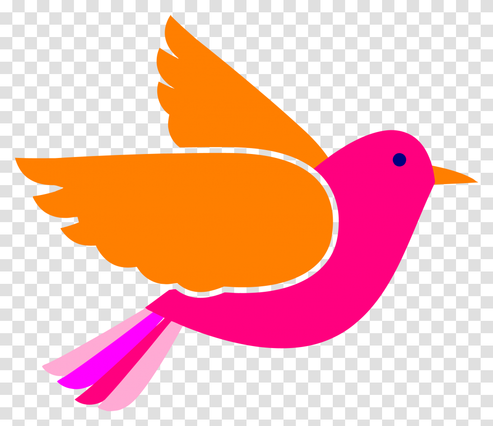 Bird Face Clip Art Pink Birds Flying Bird Clipart, Animal, Canary, Fish, Goldfish Transparent Png
