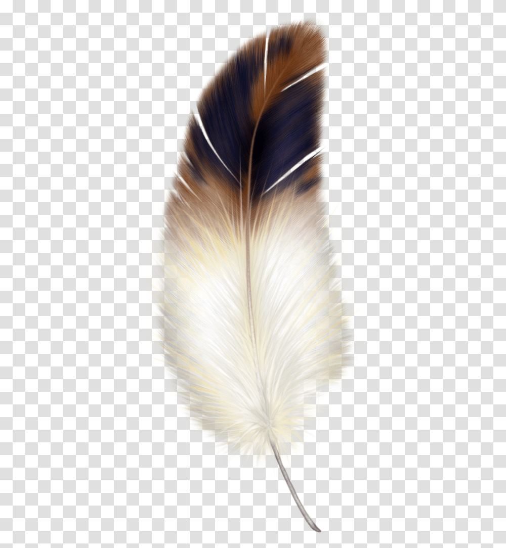 Bird Feather Clipart, Pattern, Hair, Fractal, Ornament Transparent Png