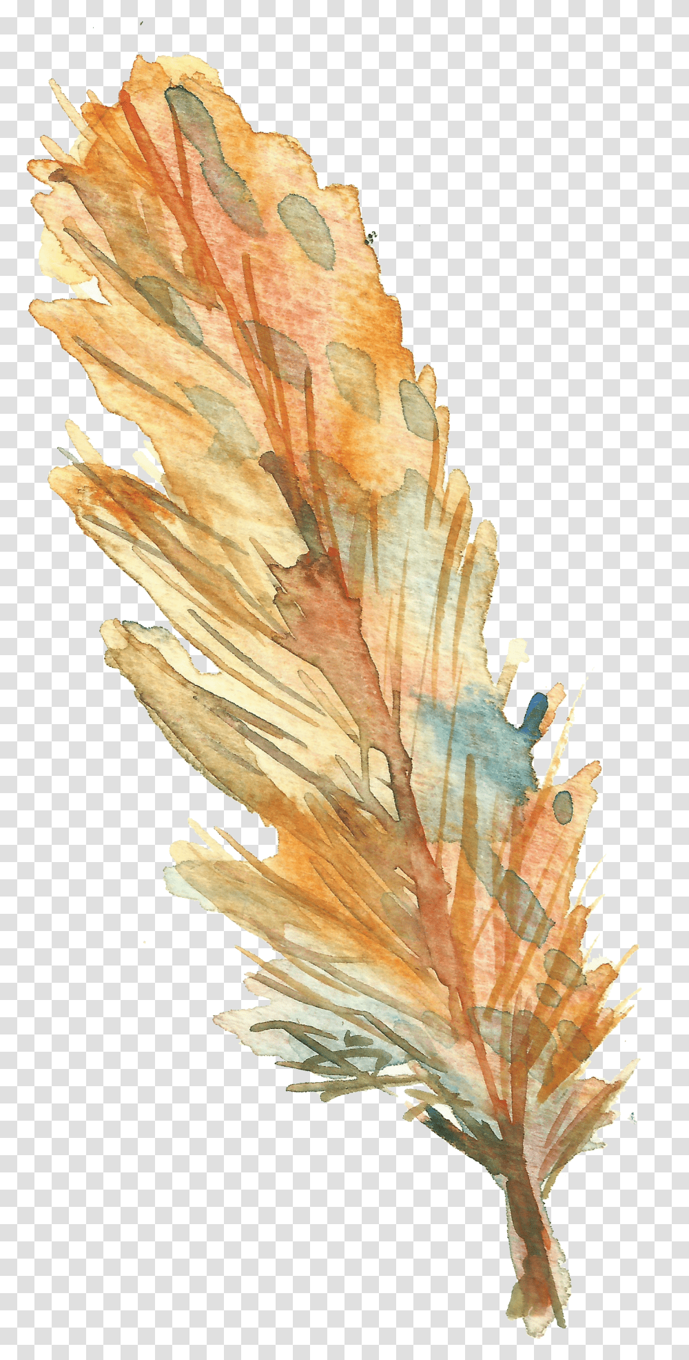 Bird Feather Drawing Feather Drawing Yellow Transparent Png