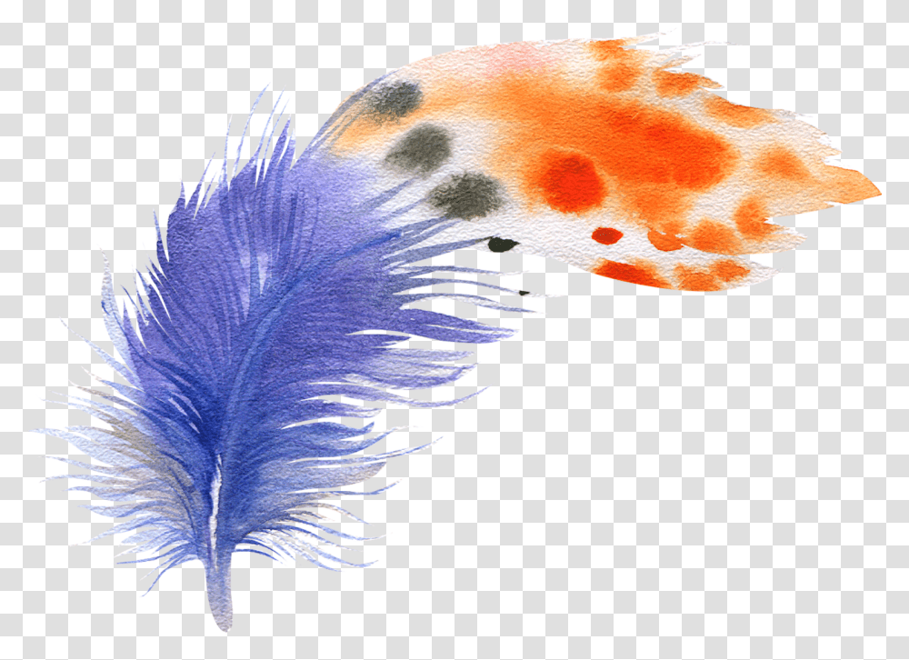 Bird Feather Drawing Feather Plumes, Floral Design, Pattern Transparent Png