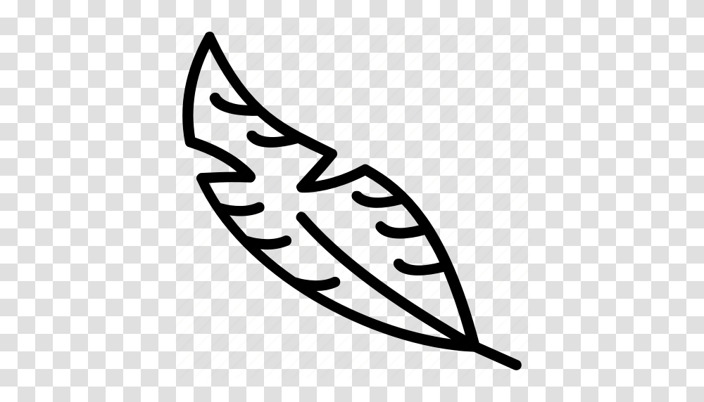Bird Feather Feather Feather Pen Quill Wing Icon, Plan, Plot, Diagram Transparent Png