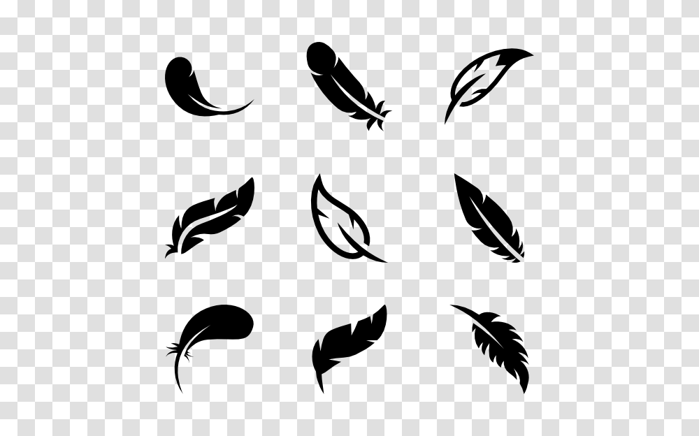 Bird Feather Image Background Arts, Gray, World Of Warcraft Transparent Png