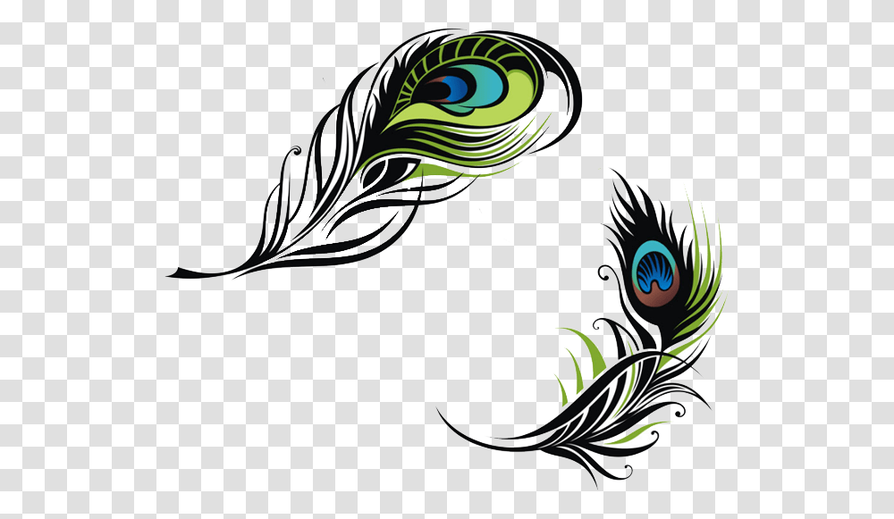 Bird Feather Peafowl Euclidean Vector Vector Peacock Feather Illustration, Graphics, Art, Floral Design, Pattern Transparent Png