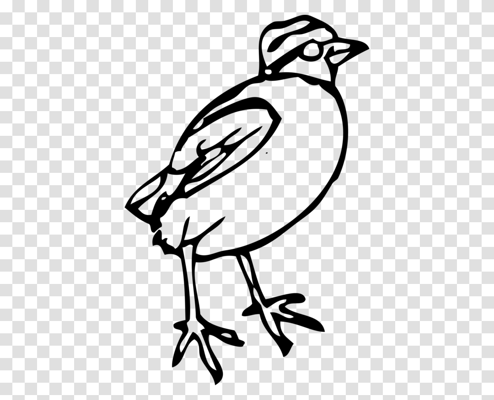 Bird Feet And Legs Drawing Download Line Art, Gray, World Of Warcraft Transparent Png