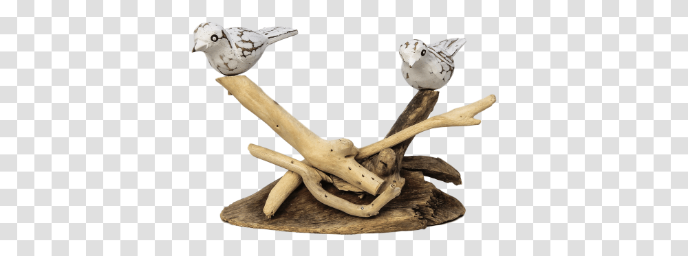 Bird Figurine Driftwood Varied Colours Decoration Lawn Ornament, Plant, Animal, Mushroom, Fungus Transparent Png