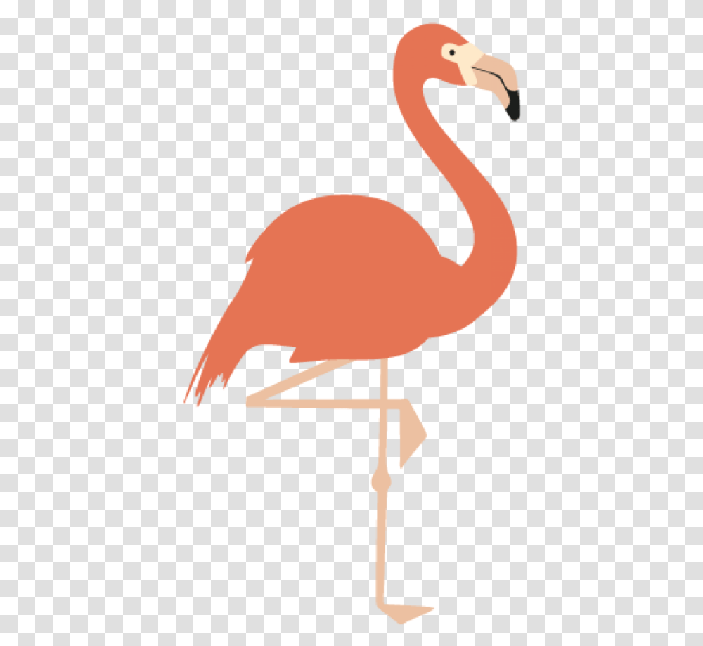 Bird Flamingo Water Neck Clipart Background Flamingo Clip Art, Animal Transparent Png