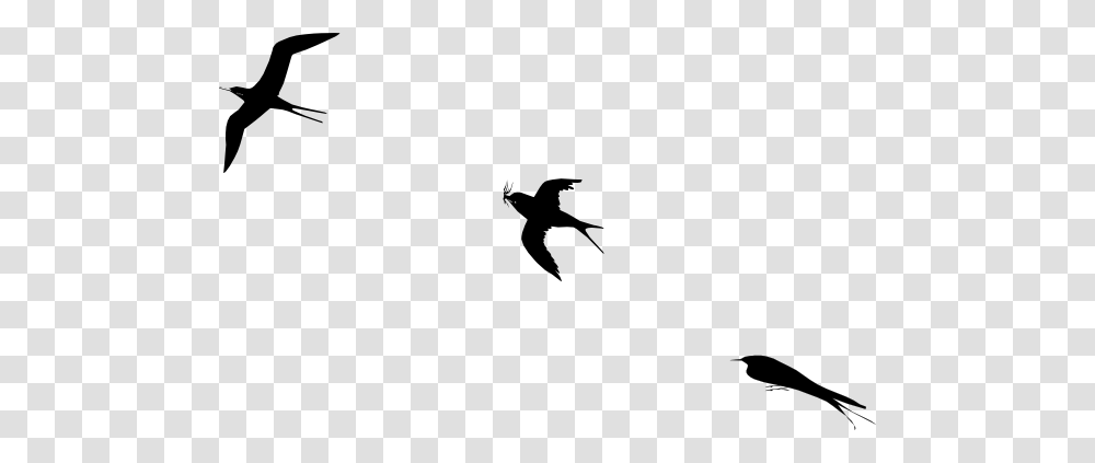 Bird Flight Clip Art, Flying, Animal, Silhouette, Person Transparent Png