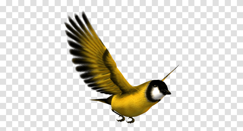 Bird Flight Eurasian Magpie Yellow Yellow Bird Flying Yellow Bird, Animal, Beak, Flare, Finch Transparent Png
