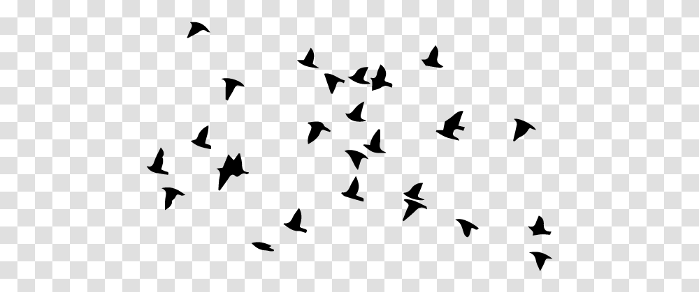 Bird Flight Flock Wall Decal Clip Art Oiseaux En Vol Dessin, Gray, World Of Warcraft Transparent Png