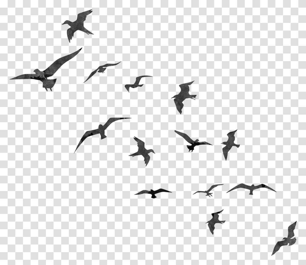 Bird Flight Swallow Flock Birds Flying Silhouette, Gray, World Of Warcraft Transparent Png
