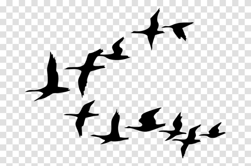 Bird Flock Of Birds Clipart Tree Cartoon Black And Cartoon Flying Birds, Silhouette, Outdoors, Nature Transparent Png