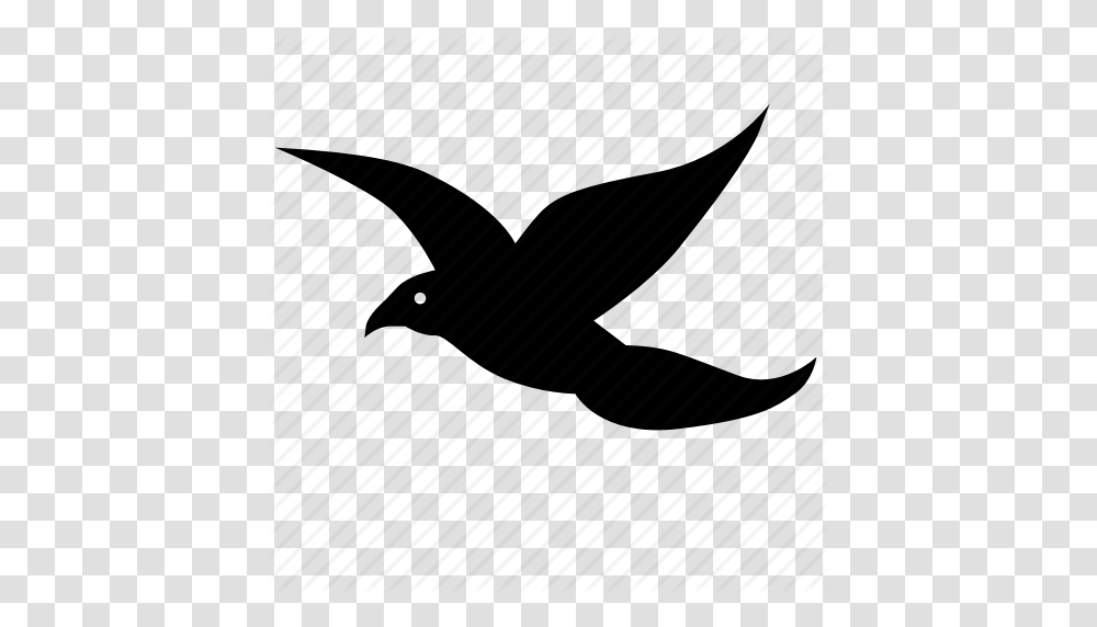 Bird Fly Parrot Wings Icon, Animal, Flying, Blackbird, Agelaius Transparent Png