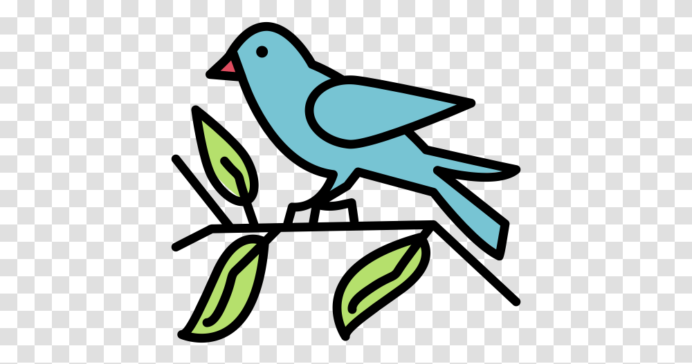 Bird Fly Pet Sparrow Icon Birds In Spring Icon, Animal, Shark, Sea Life, Fish Transparent Png