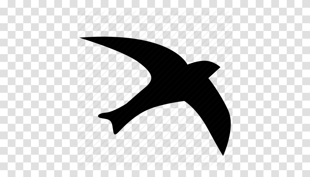 Bird Fly Seagull Sky Icon, Piano, Animal, Mammal, Swallow Transparent Png